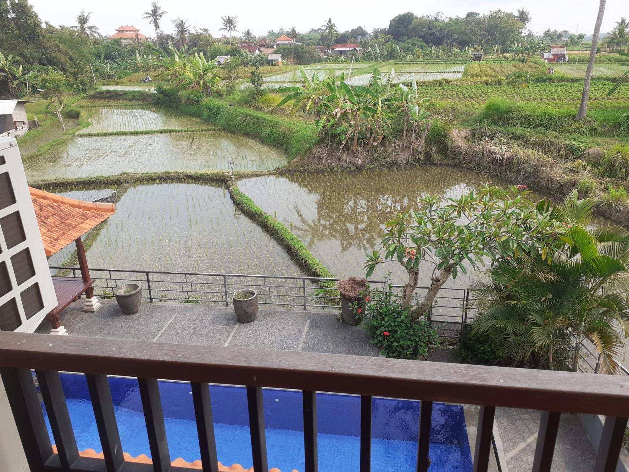 Griya Bun Sari Apartment Sukawati  Exterior photo